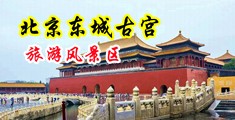 伊人大鸡吧中国北京-东城古宫旅游风景区